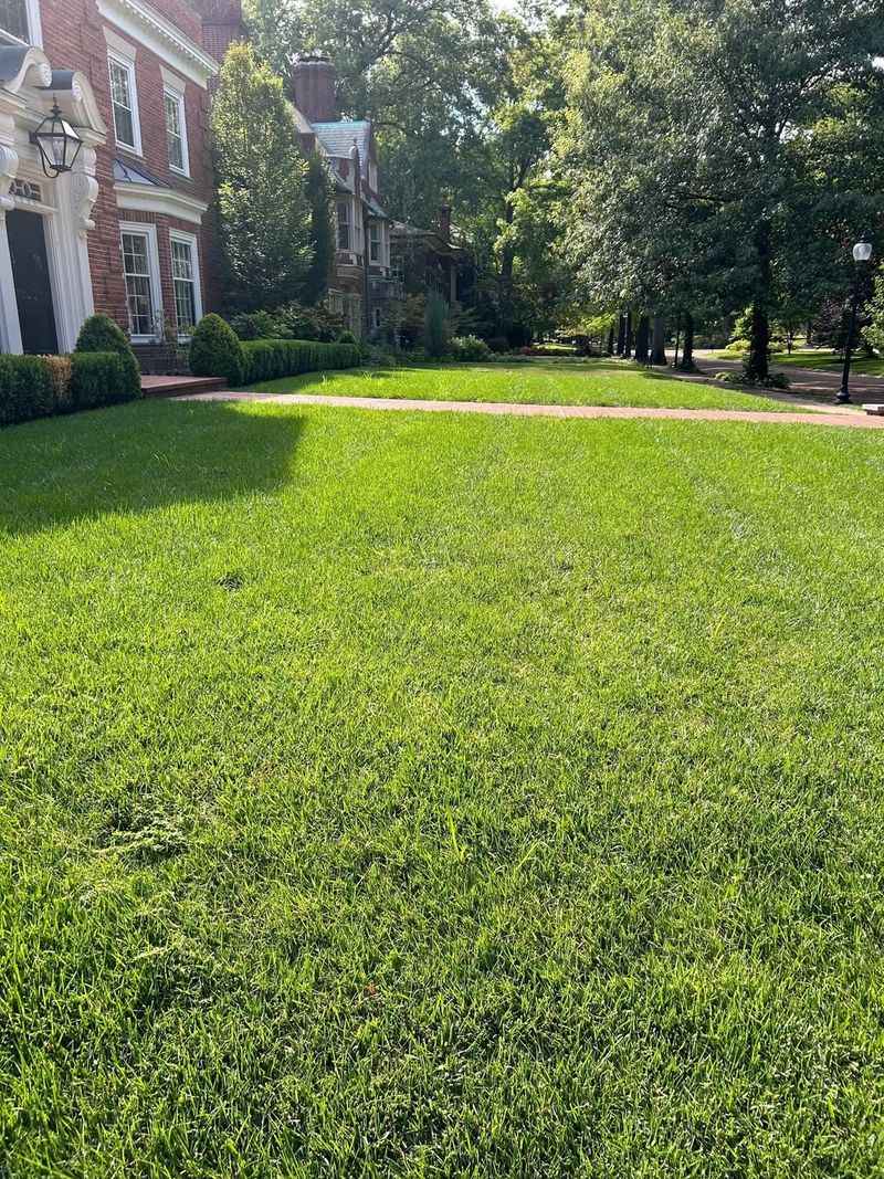 Prepares Lawn for Early Spring Green-Up Success