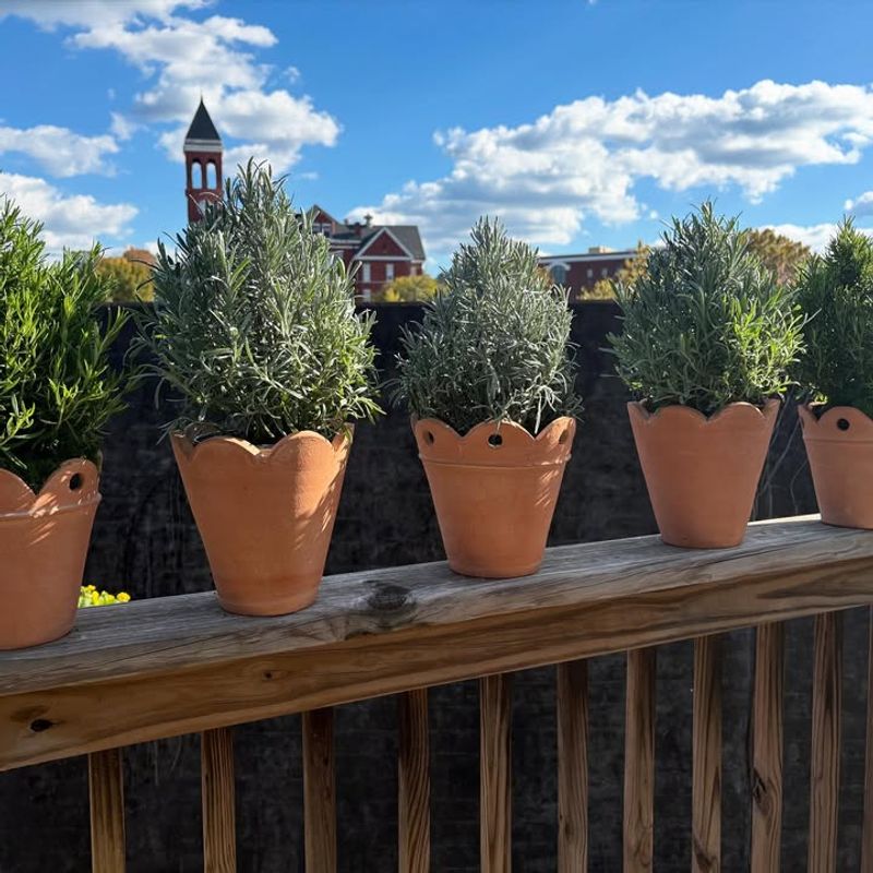 Reduces Stress and Anxiety