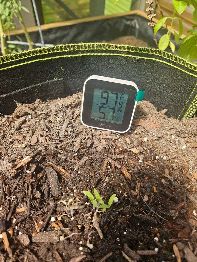 Holds Moisture During Summer Months