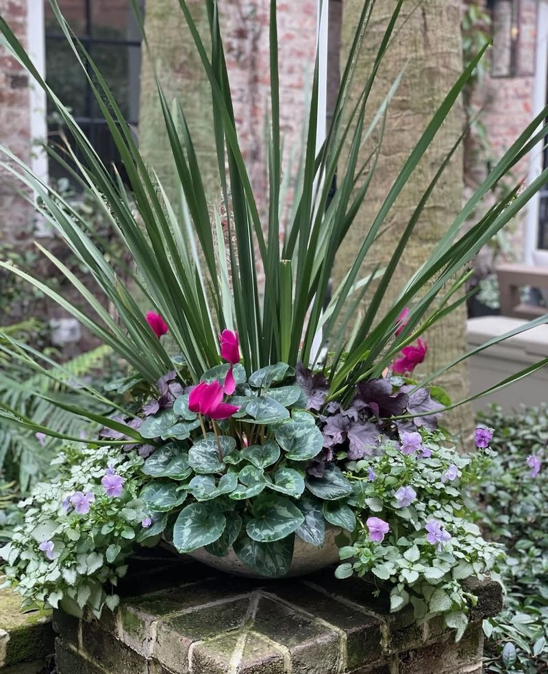 Maintains Garden Appearance Through Winter