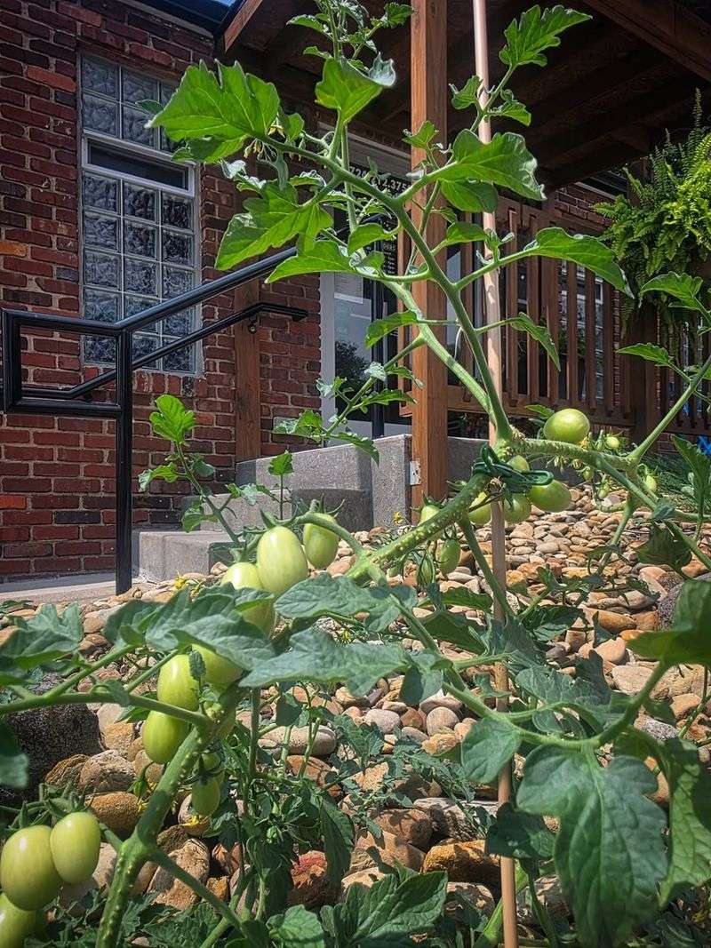 Against Walls Or Fences With No Air Flow