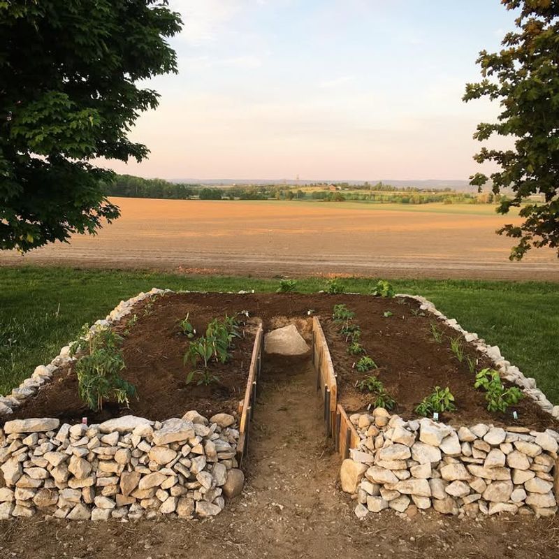 Build Raised Beds For Better Drainage