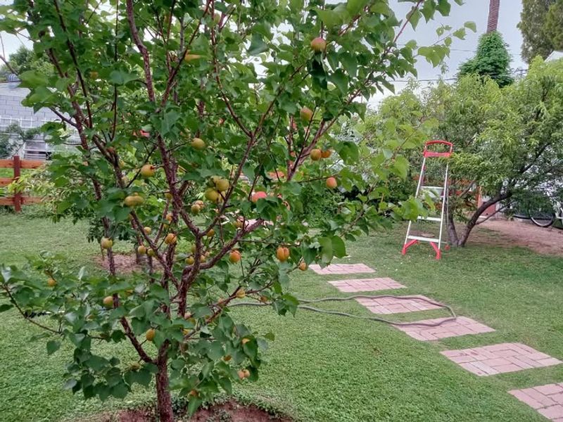 Educational Opportunities for Children and Adults