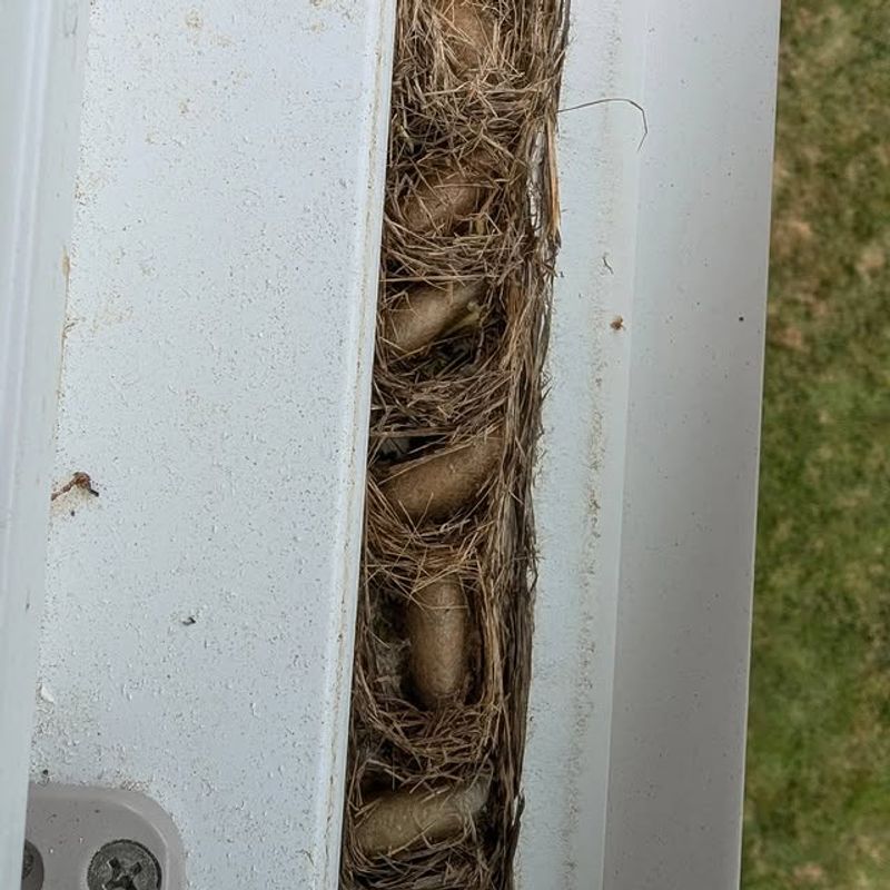 Around Window Frames And Door Jambs