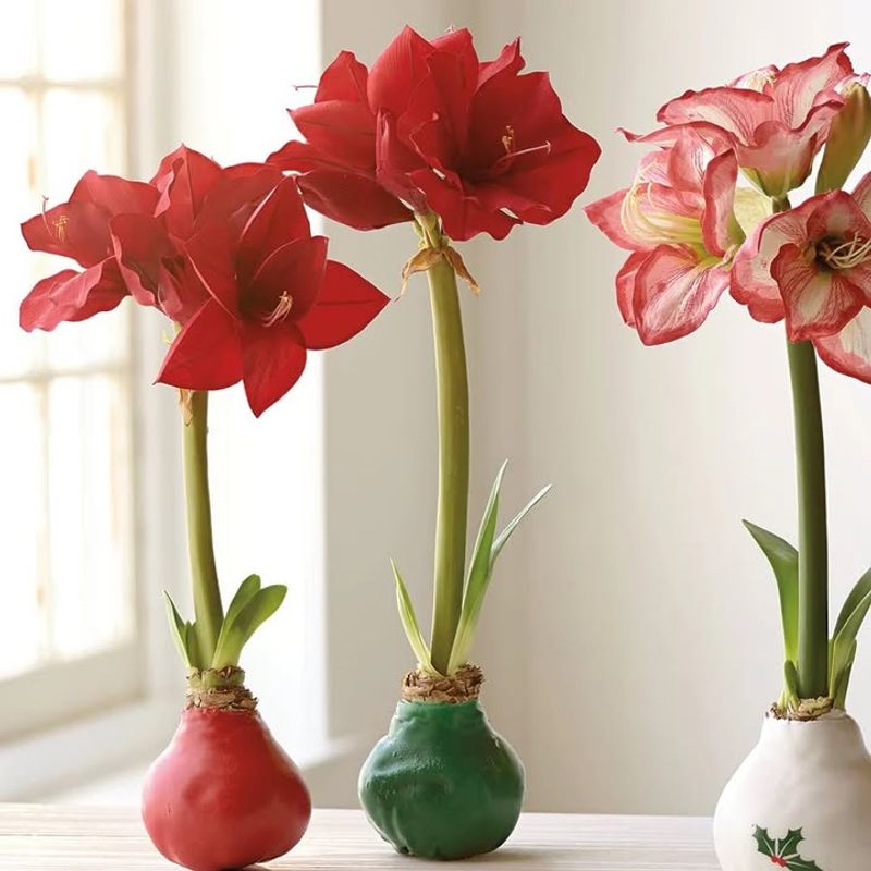 Gift-Giving Made Effortless And Impressive