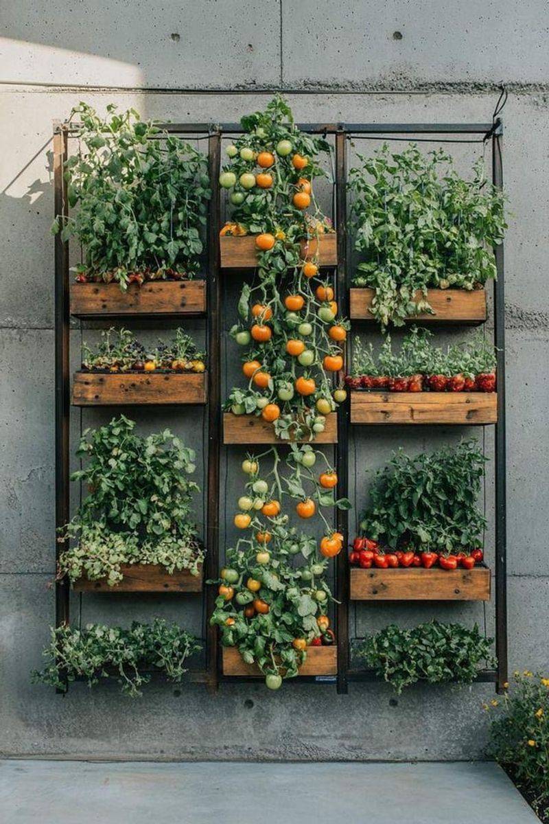 Grow A Vertical Vegetable Garden