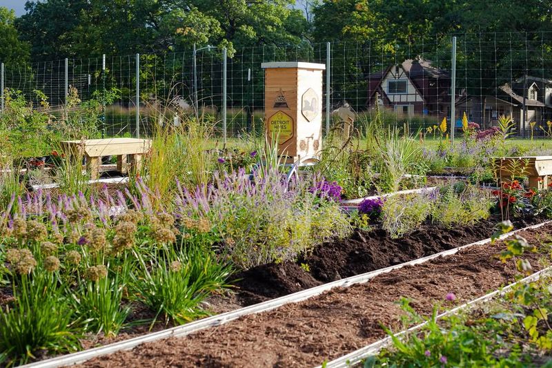 Grow Plants That Bloom Across All Seasons