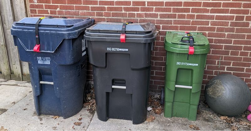 Secure Your Trash And Compost Bins Properly