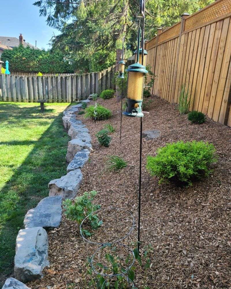 Apply Mulch Generously