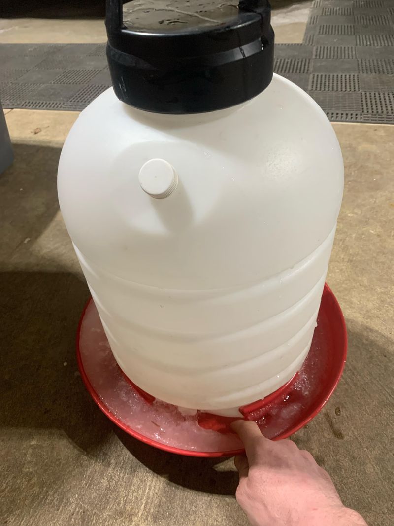 Switch to Heated Waterers