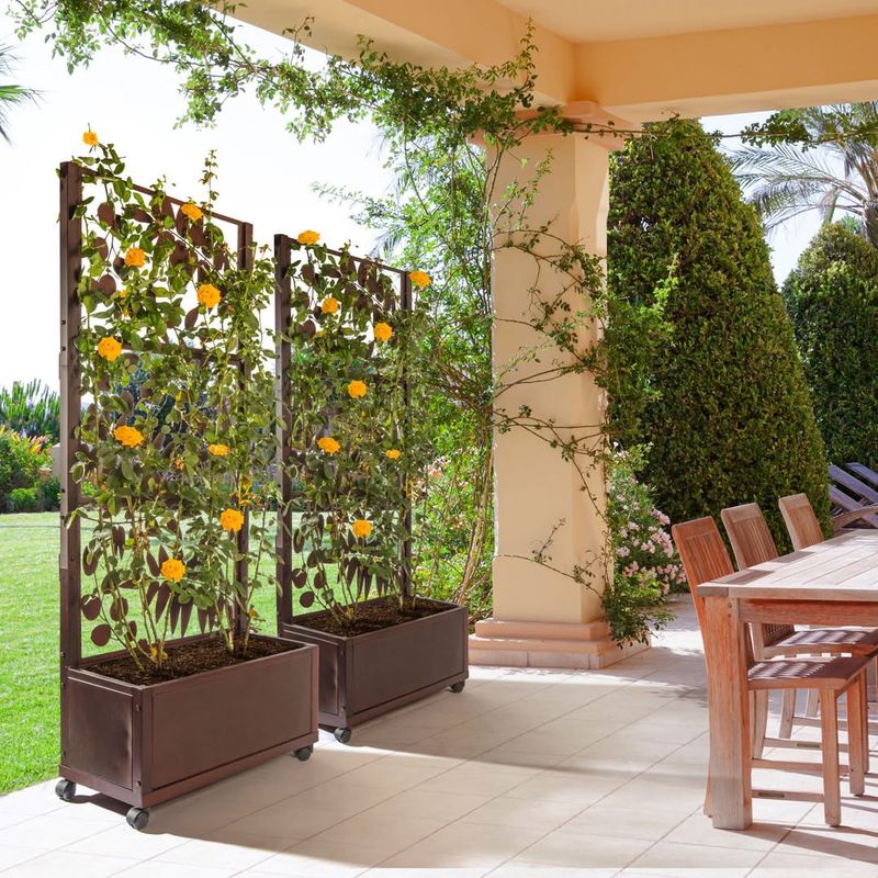 Install a Living Trellis Wall