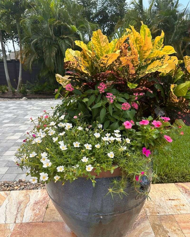 Add Strategic Container Gardens