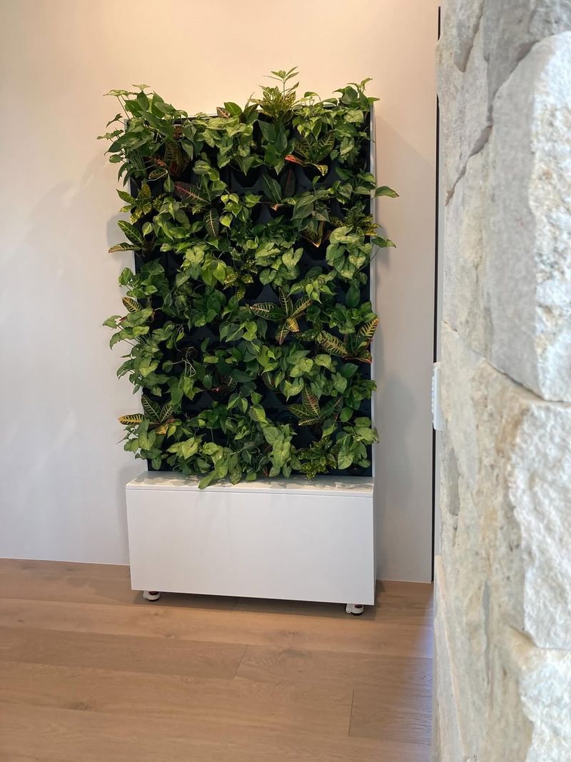 Incorporating Automatic Drip Irrigation