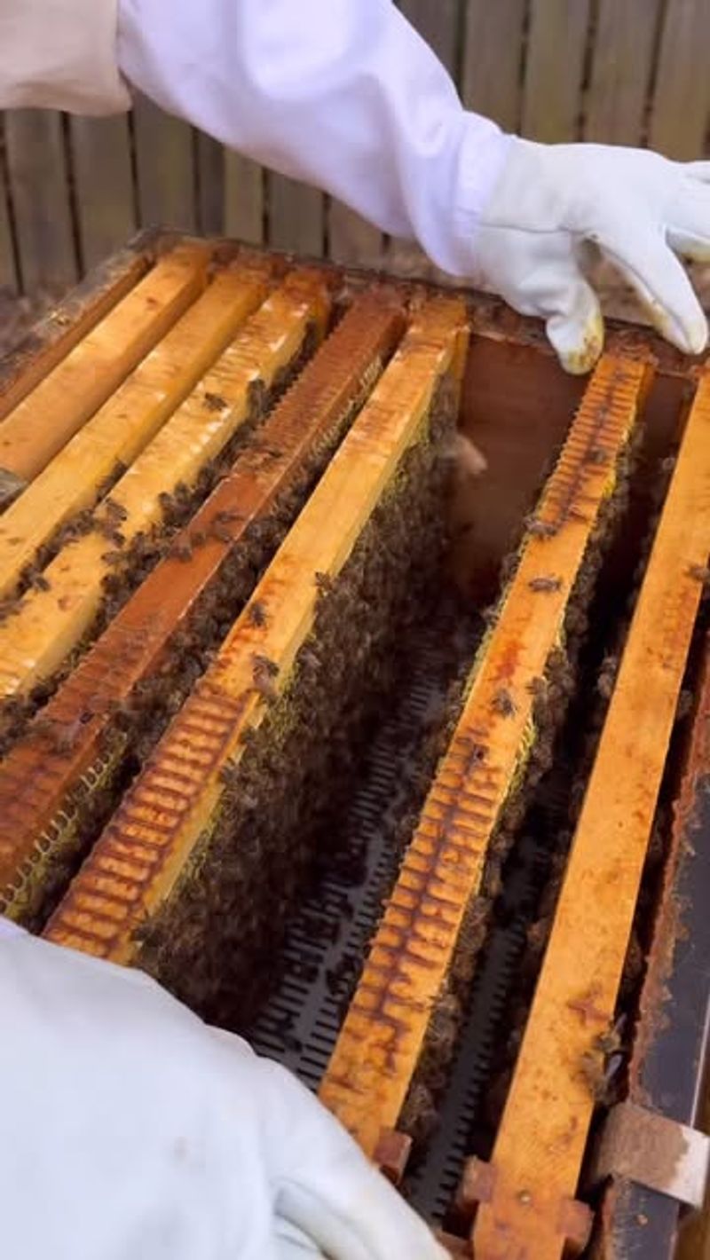 Lack Of Public Awareness And Support