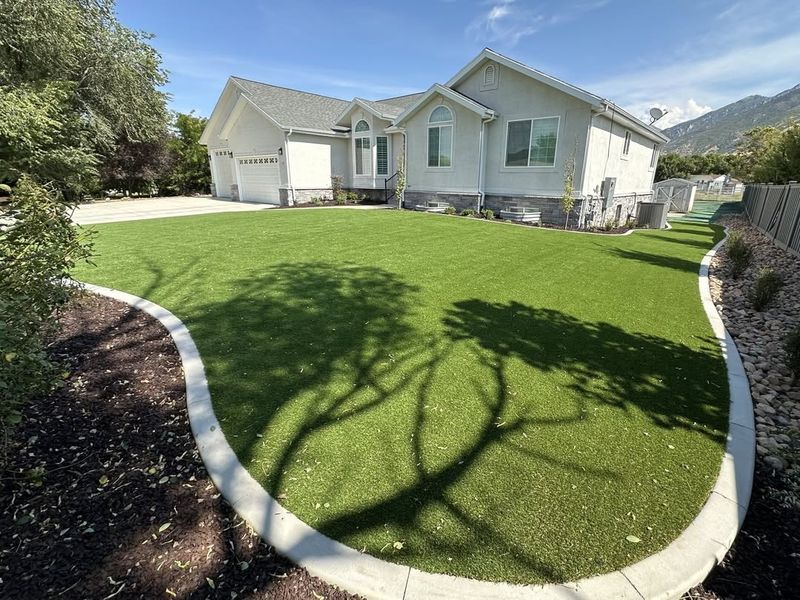 Artificial Turf Lawns