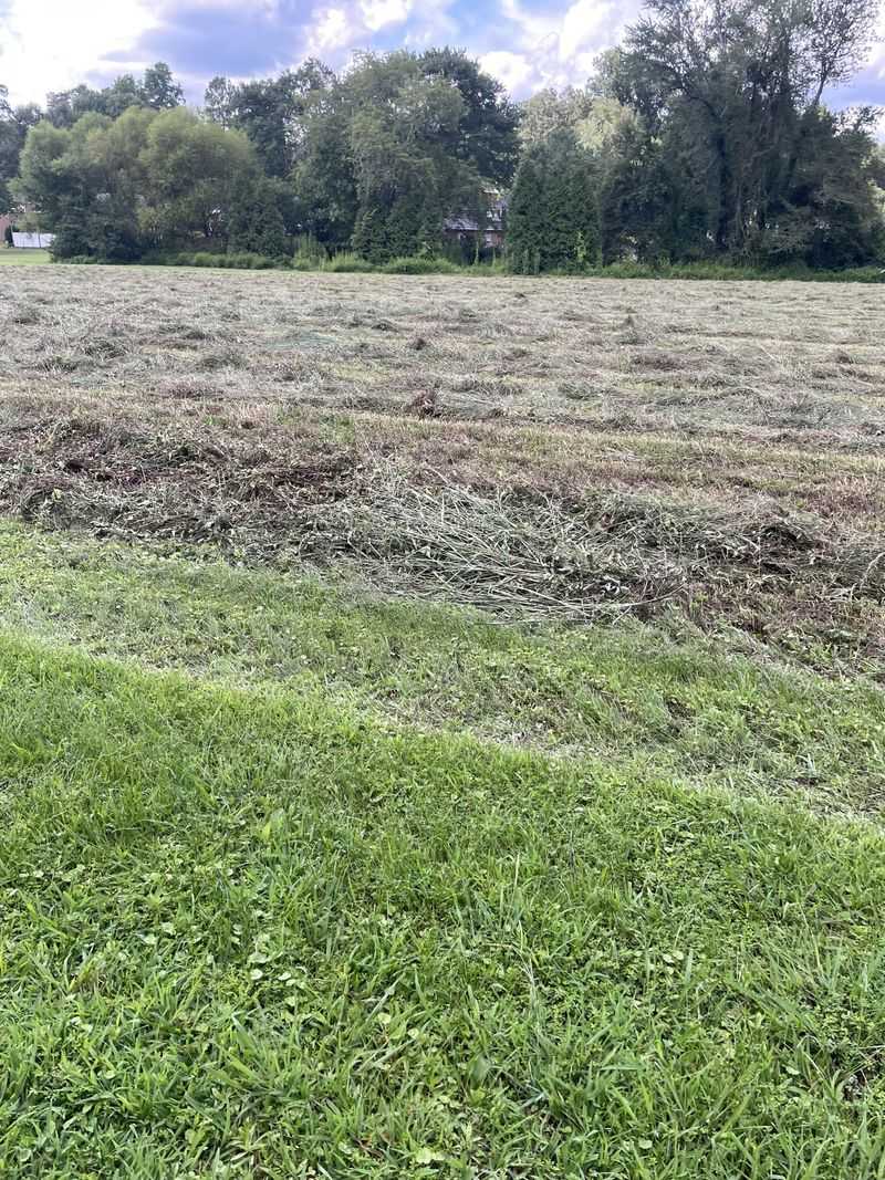 Monoculture Farming and Limited Food Sources