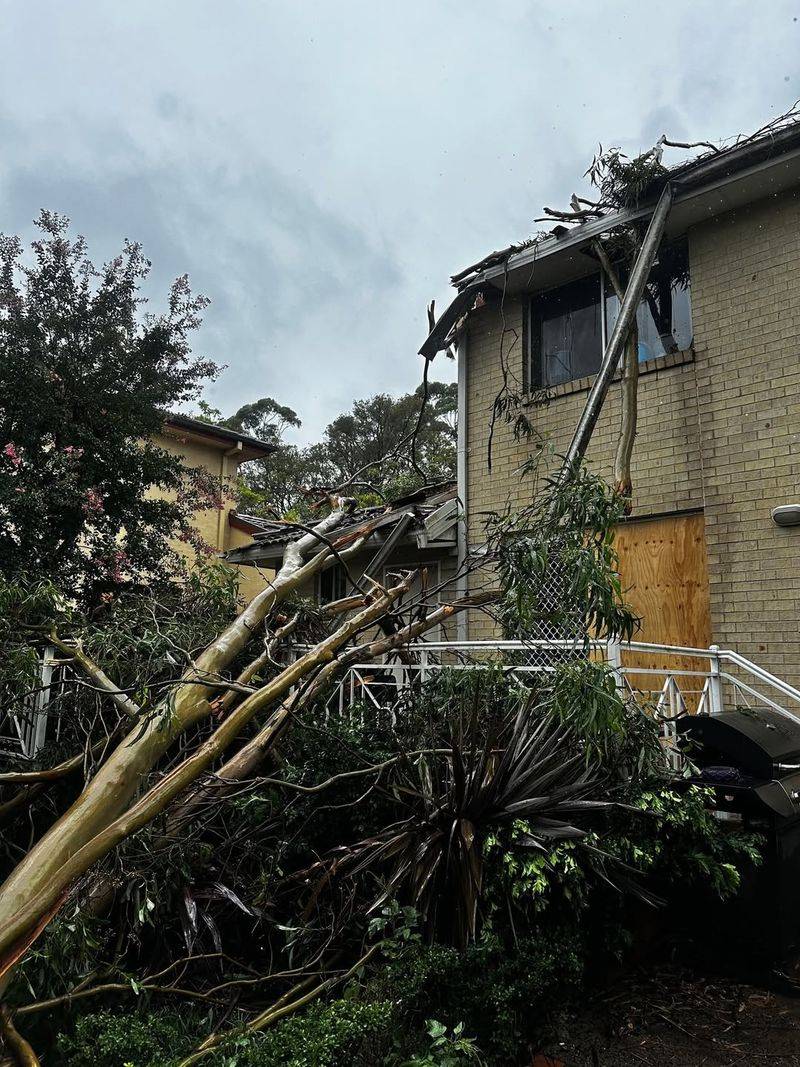 Leaning Trees With Structural Instability