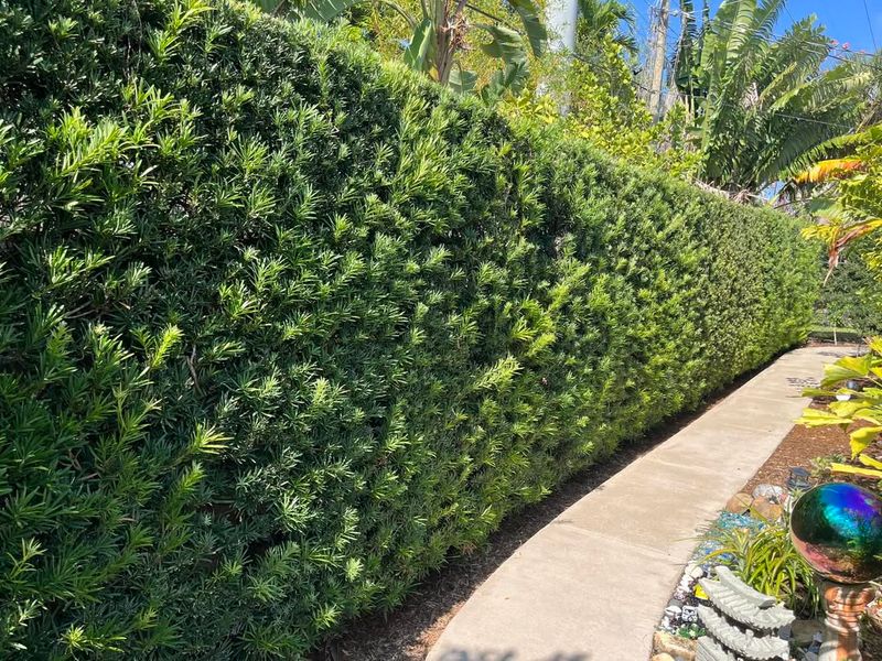 Curb Appeal Maintains Property Values