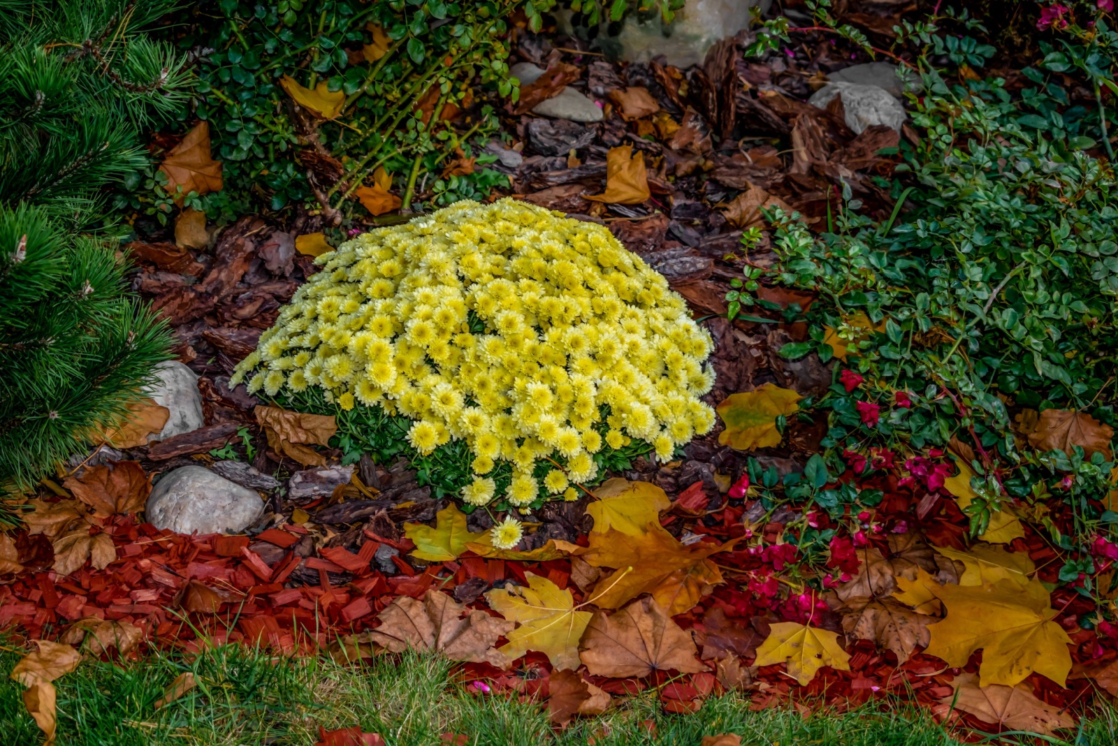 Is It Better For Michigan Gardeners To Leave Or Remove Fallen Leaves From Flower Beds?