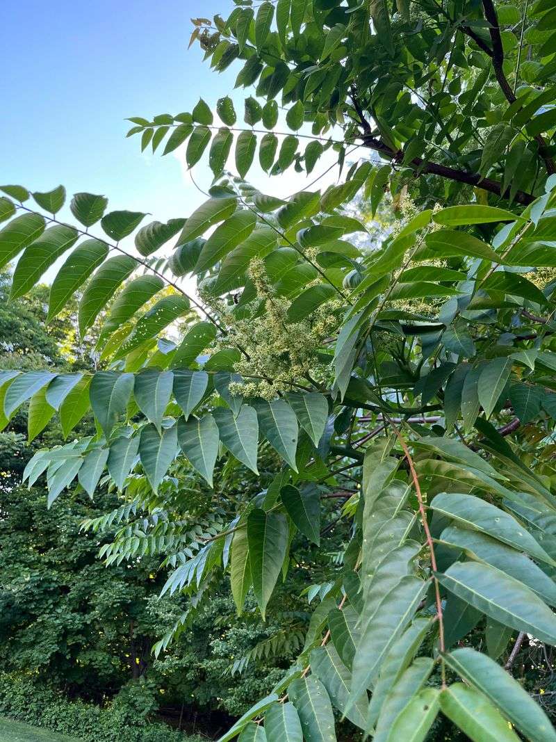 The Smell Is Absolutely Disgusting