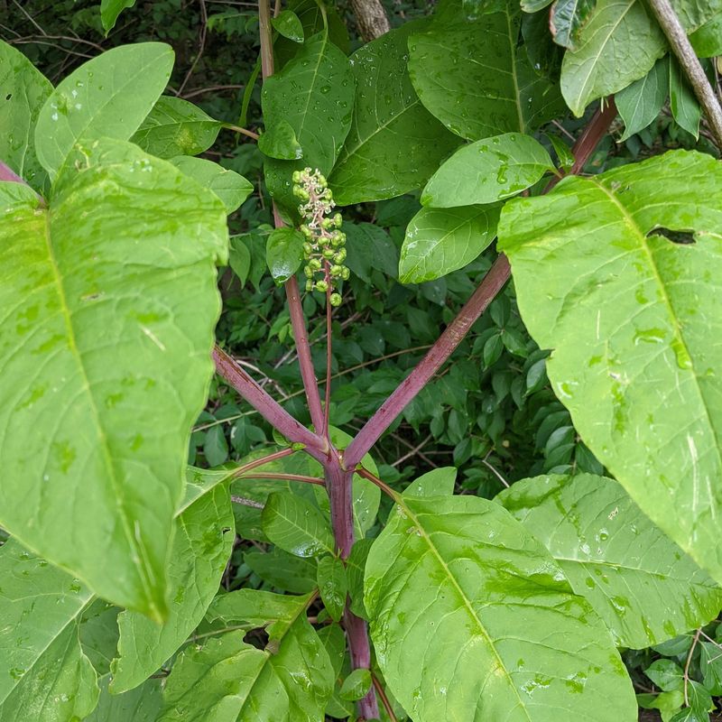 No One Taught Them Otherwise