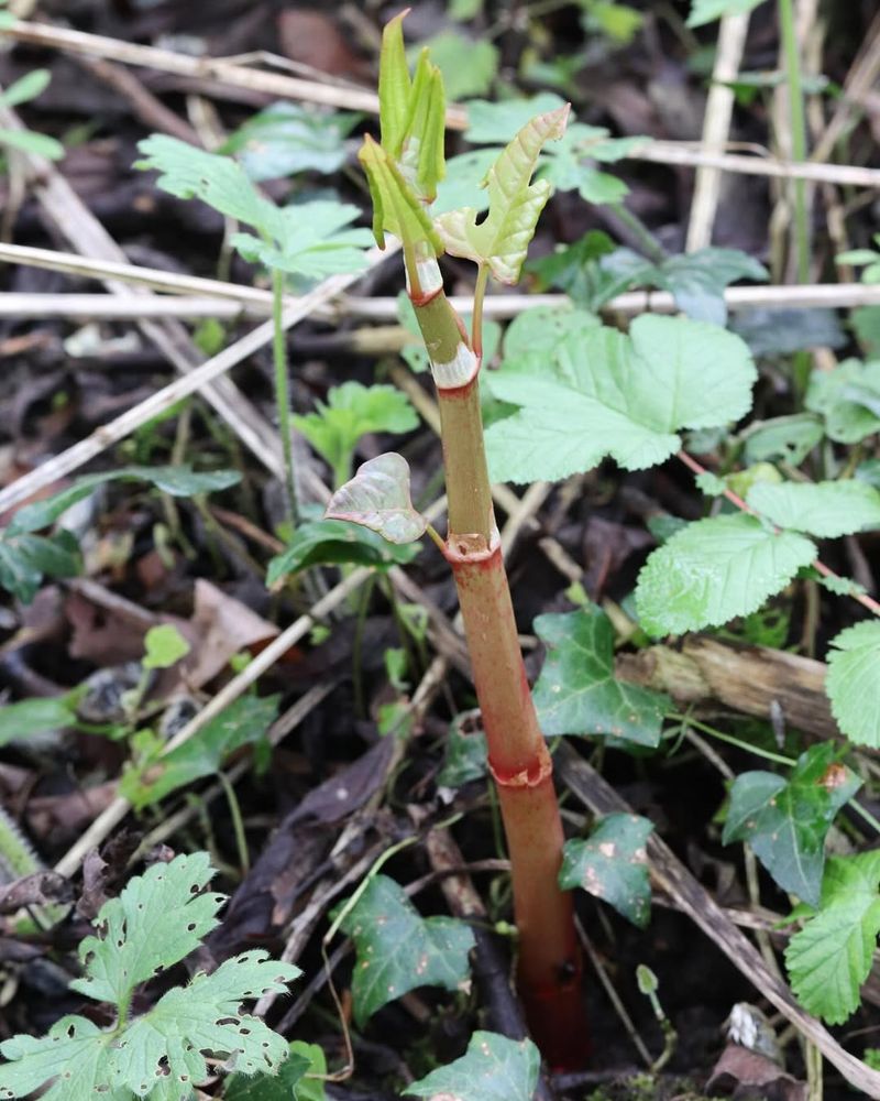 Property Damage Can Cost Thousands In Repairs