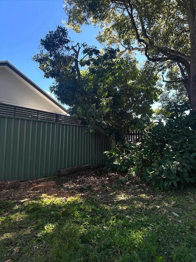 Property Line Determines Your Rights