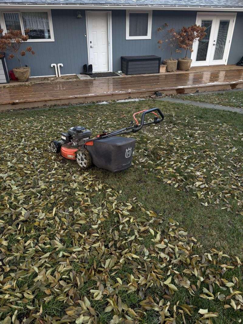 Remove Leaves Before Every Mow