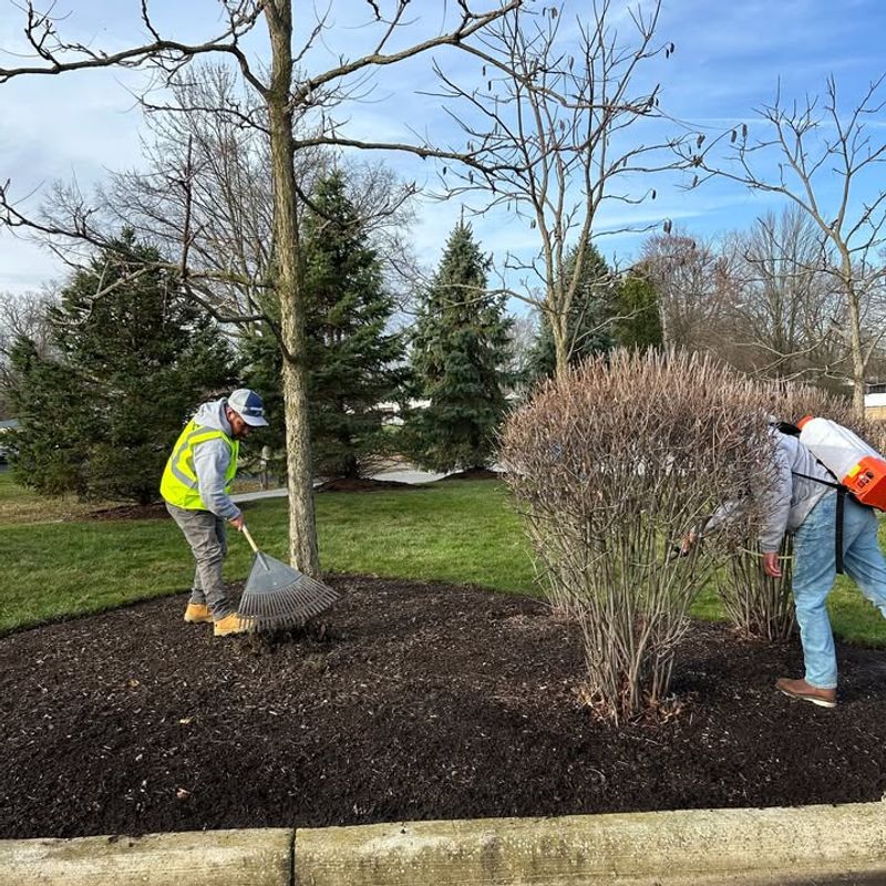 Remove Or Reduce Mulch When Spring Arrives