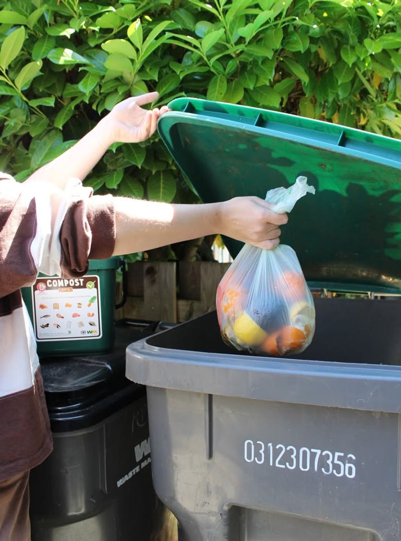 Remove Potential Food Sources From Your Yard