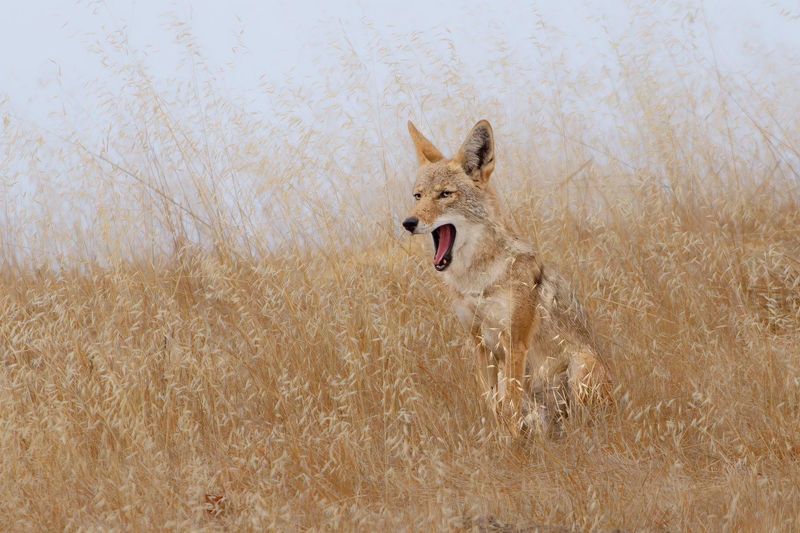 Don't Turn Your Back Or Run Away