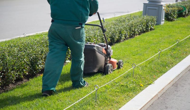 Raise Your Cutting Height