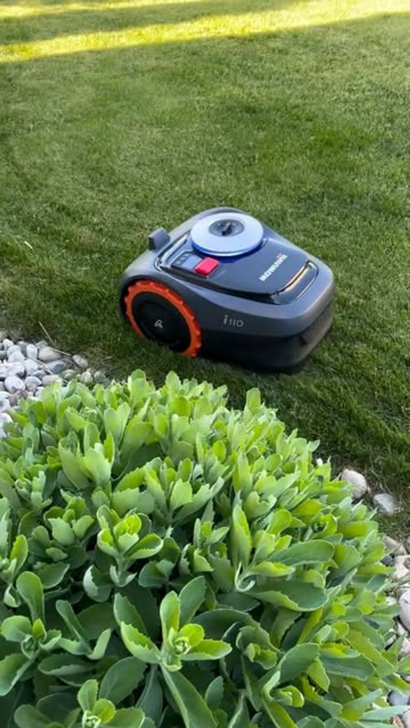 Mow When Grass Is Dry