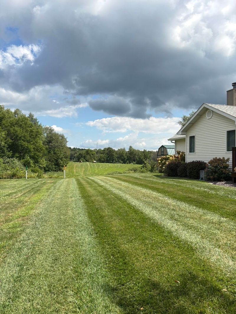 Change Your Mowing Pattern Regularly