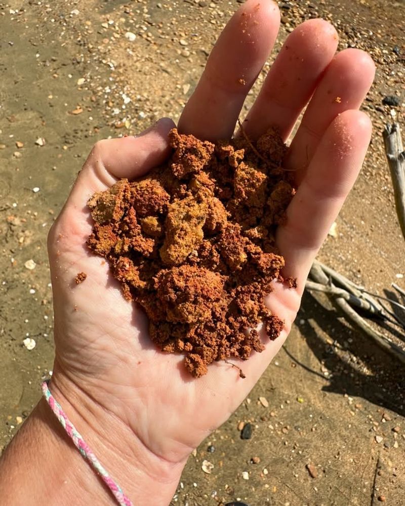 Improves Soil Quality Over Time