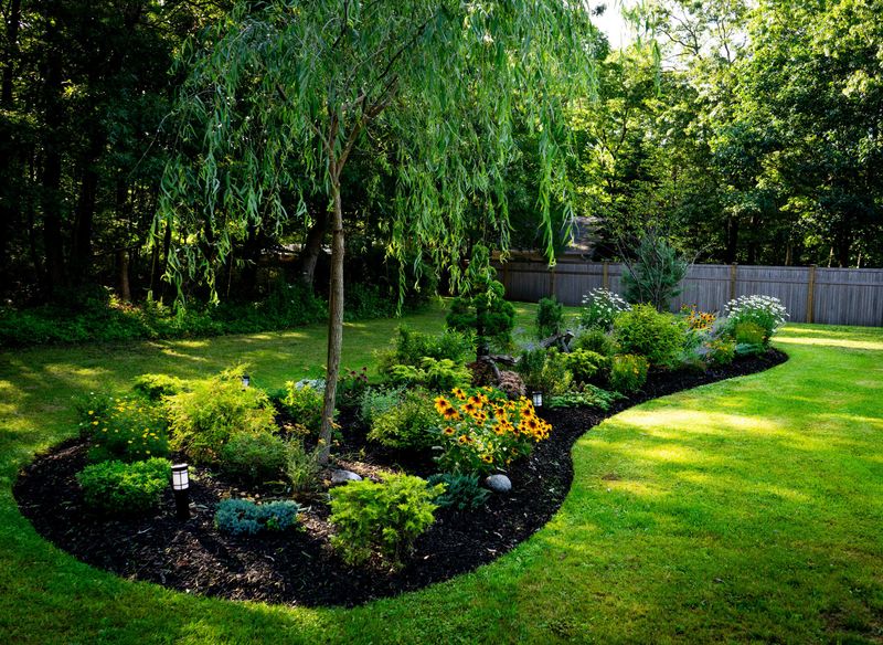 Makes Your Landscape Look Neat All Winter Long