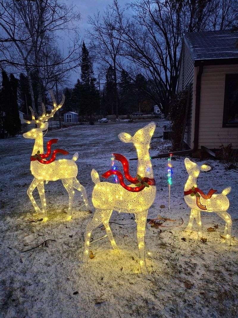 Illuminated Deer Families