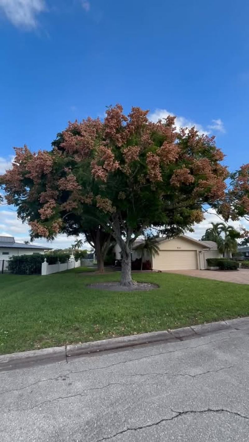 Abundant Nectar Production Attracts Diverse Visitors