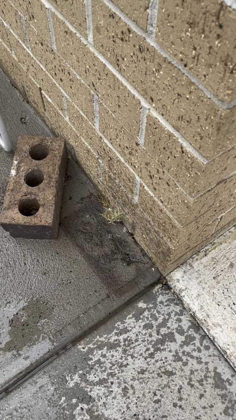 Foundation Damage From Excess Moisture