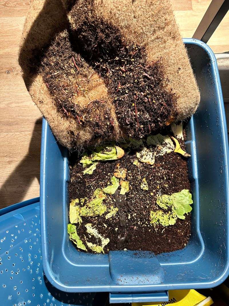 Add Baking Soda As A Natural Deodorizer