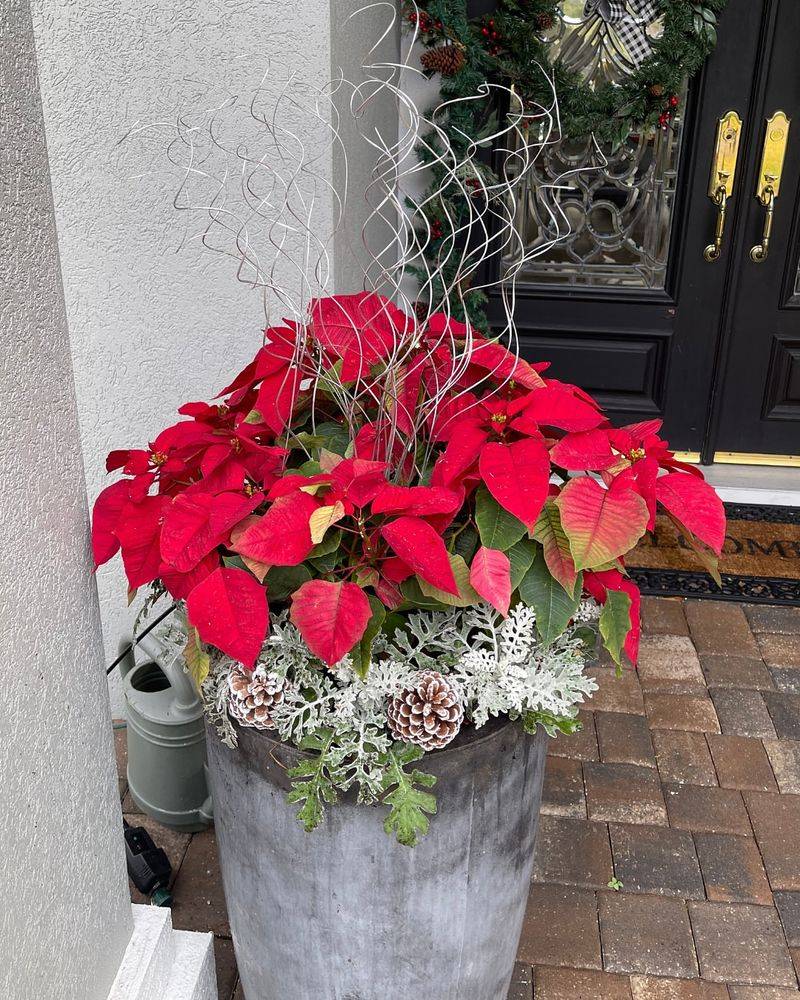 Rustic Container Combinations