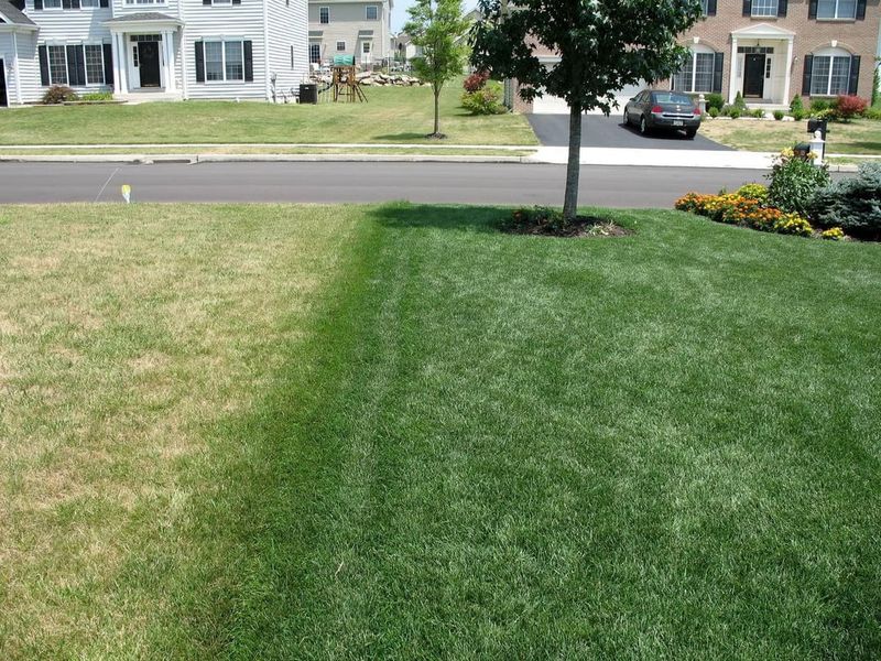 Overwatering as Temperatures Drop