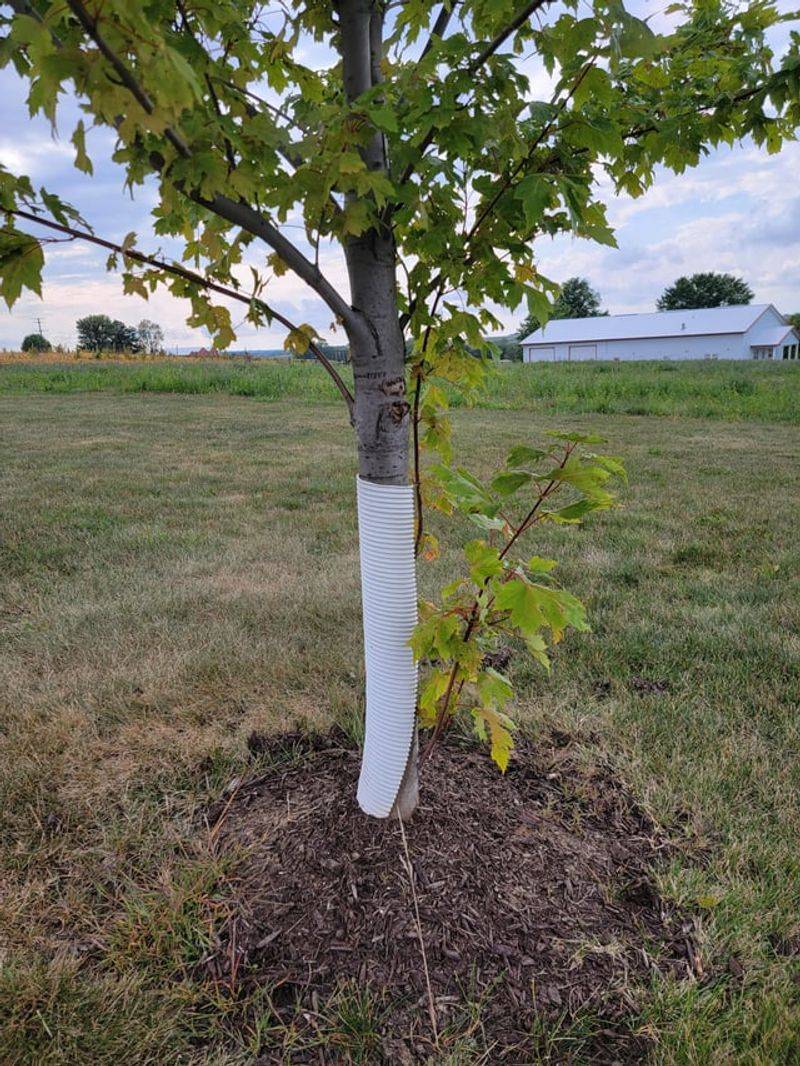 Preventing Future Issues