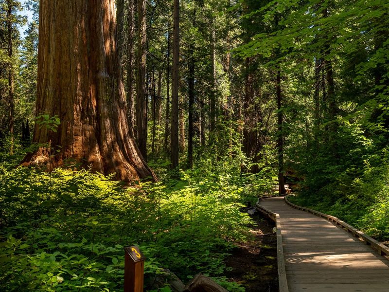 Environmental Impact Matters More