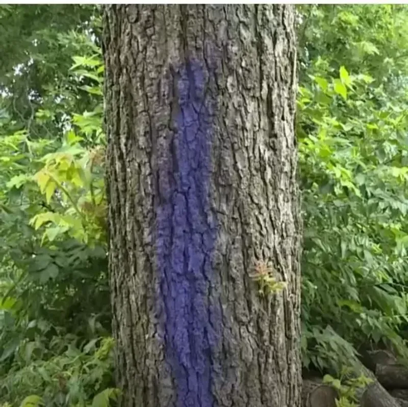 No Trespassing Without Permission