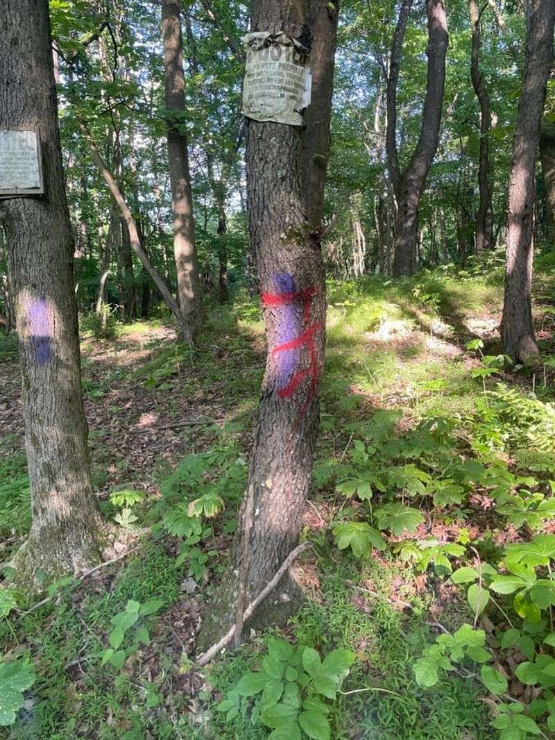 No Trespassing Warning System