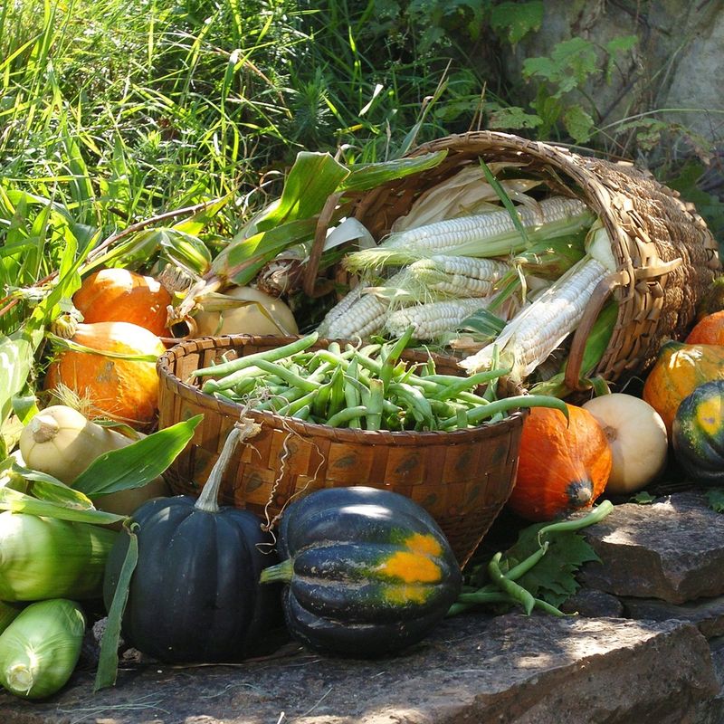 Bigger Harvests From Smaller Garden Spaces