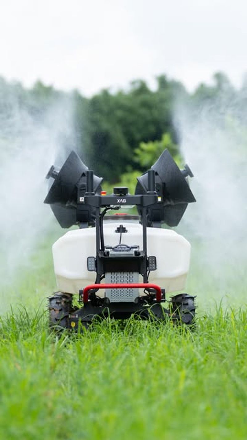 Pesticides And Lawn Chemicals