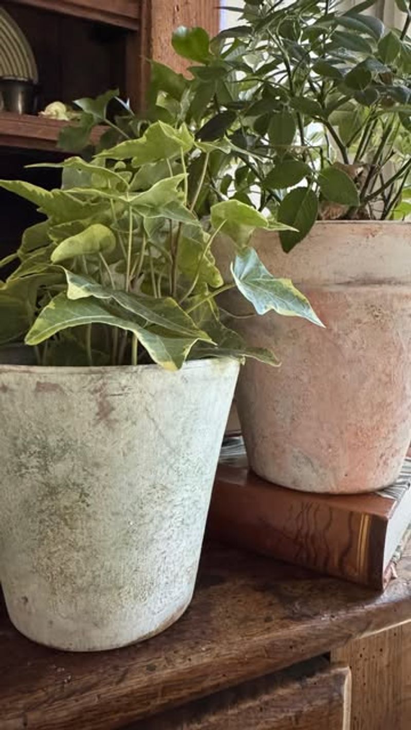 Chalk Smudging For That Naturally Weathered Terracotta Feel