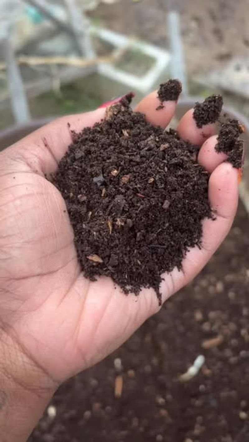 Moisture Levels Fluctuate with Indoor Waste